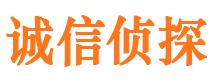 武都市私人调查